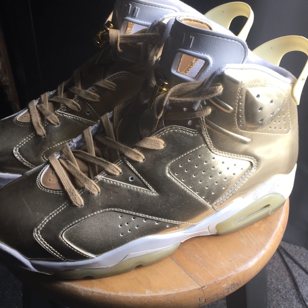Jordan 6 retro pinnacle